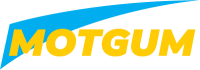 Motgum Blattfeder VW GOLF 2.0L Diesel