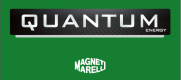 QUANTUM ENERGY Batterie VOLKSWAGEN GOLF 2.0L Essence