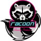 Racoon Líquido de limpa-vidros VOLKSWAGEN POLO 1.7L Diesel