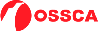 OSSCA Elevalunas VOLKSWAGEN PASSAT 1.9L Gasóleo