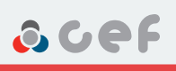 CEF 443 611 775A