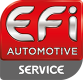 EFI AUTOMOTIVE 1031881