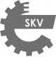ESEN SKV Elevalunas VOLKSWAGEN PASSAT 1.9L Gasóleo