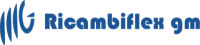 RICAMBIFLEX GM 8E0 609 722H
