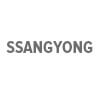 ssangyong SSANGYONG originale dele forhandler