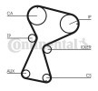 Getande riem CONTITECH CT1026 voordelig kopen met kortingen