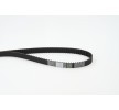 CONTITECH Getande riem CT805 eenvoudig online bestellen