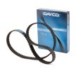 DAYCO Zobati jermen 94939 poceni