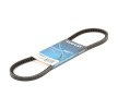 V-riem DAYCO 10A0800C voordelig kopen met kortingen