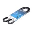 DAYCO Kilerem 10A1075C til en enkel sats