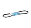 V-Belt DAYCO 13A0950C buy cheap with discounts