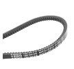 BOSCH V-Belt 1 987 947 616 at favorable price