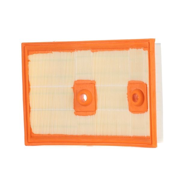 CHAMPION CAF101067P Spitzenqualität zu preiswerten Preisen