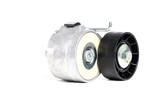 DAYCO APV1078 di prima qualità a prezzi equi