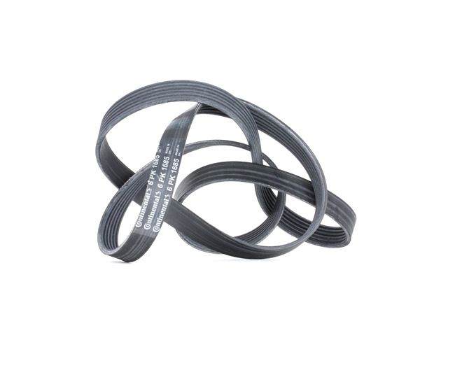 CONTITECH 6PK1684 höchste Qualität