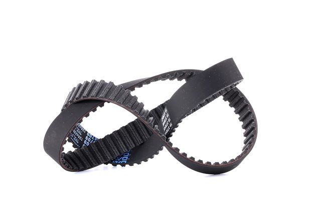 DAYCO 124P8S220H di prima qualità a prezzi equi