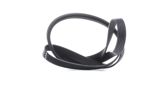FEBI BILSTEIN 6PK2081 höchste Qualität