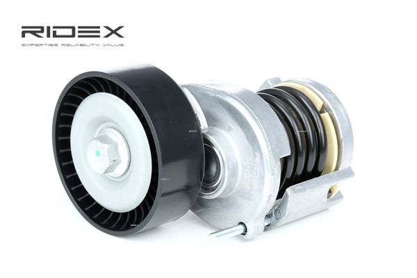 RIDEX Tensor de correia, correia trapezoidal estriada 541V0005 ao melhor preços