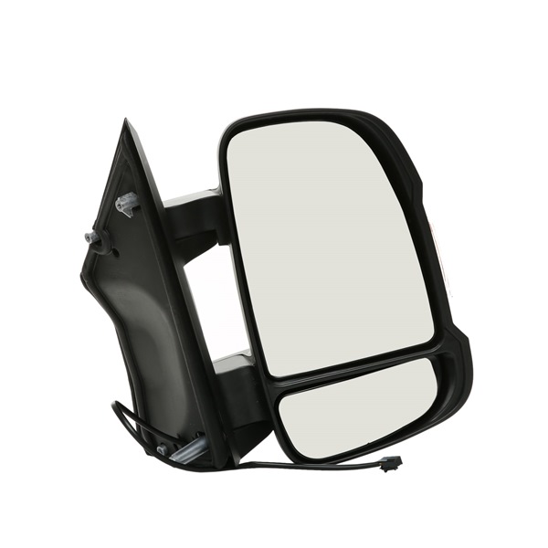 RIDEX 50O0098 qualité haut de gamme et prix abordables